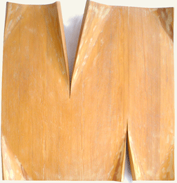 Barks of the wood II1 Barks of the wood II1
